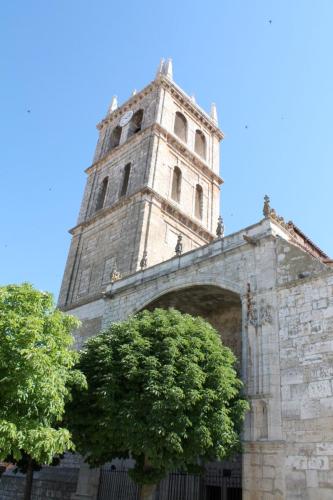 Iglesia parroquial. Dueñas. Palencia. F1